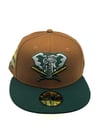 Two-Tone Athletics