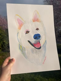 Image 3 of Grand portrait canin 