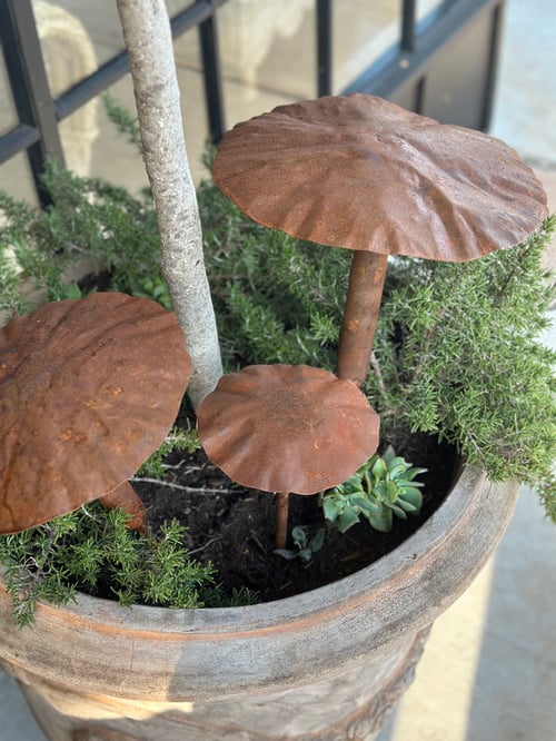 Image of Large Mushroom Stakes Set of 3