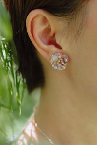 Image 2 of Pebbles (Antique Rose)
