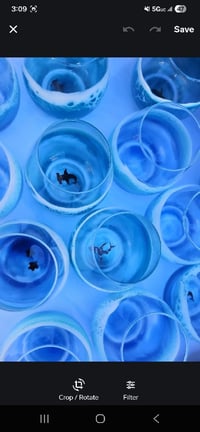 Image 4 of ocean wine glasses, 12 ounce