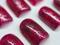 Image 2 of Radiant Rose Archive