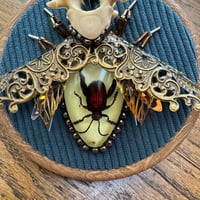 Image 2 of Specimen beetle (a, 4  inches)