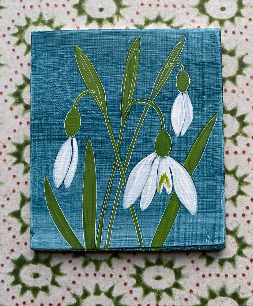 Image of Small Snowdrop Study (B) 