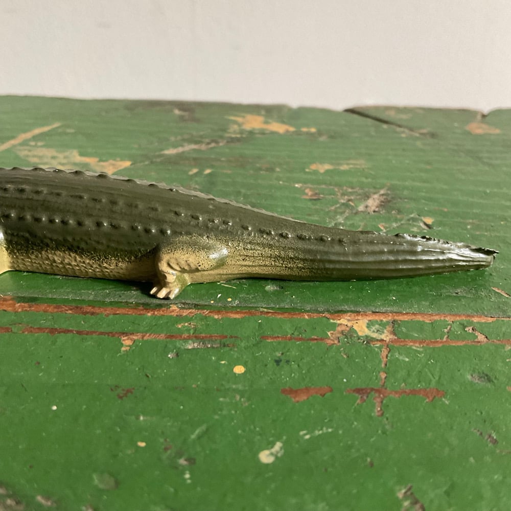 Image of Aligator