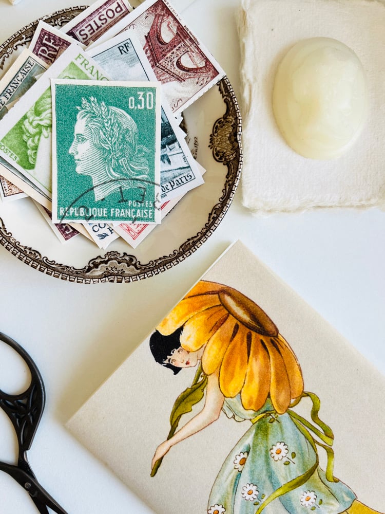 Image of CT FRANCINE