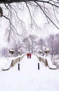 Image 1 of Lady in Red 