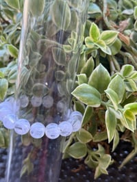 Image 2 of White Sage Bracelet 🤍