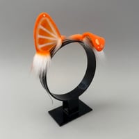 Image 4 of Orange Pup