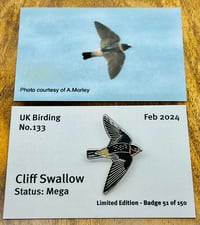 Image 1 of Cliff Swallow - No.133 - UK Birding Series