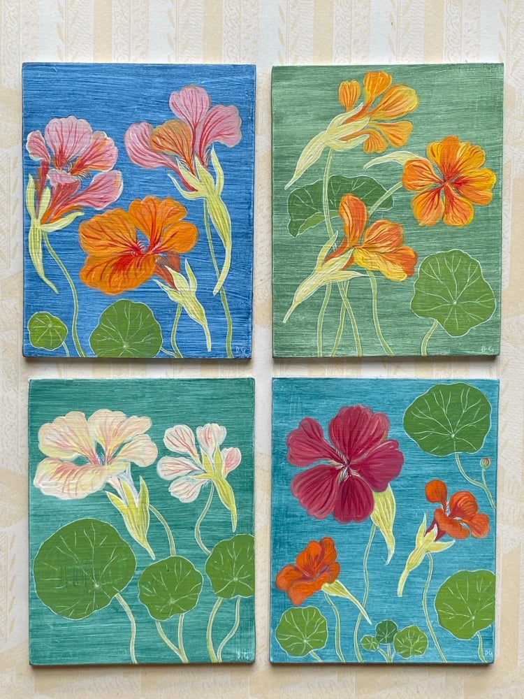 Image of Nasturtiums (B)