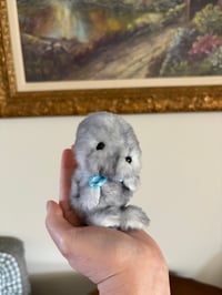 Image 2 of Baby Seal Prototype