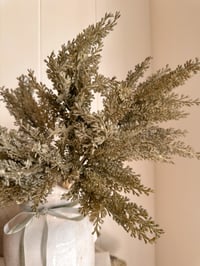 Image 2 of The Cedar Bouquet ( 12 stems included )