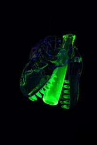 Image 1 of Aquamania T-Rex skull pendant with illuminati (UV) teeth & J-holder