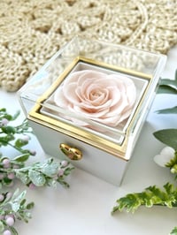 Image 3 of Raíces de Amor Box