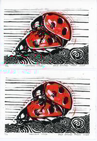 Image 1 of Ladybug Style