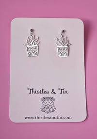 Image 3 of Plant Lover | Dangles