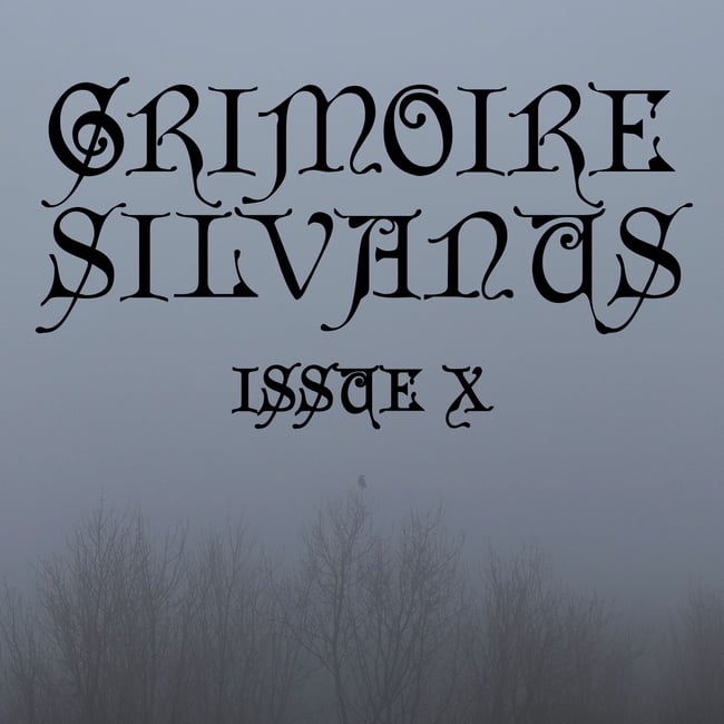 Grimoire Silvanus Zine Issue 10