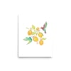 Hummingbirds & Lemons Art Print