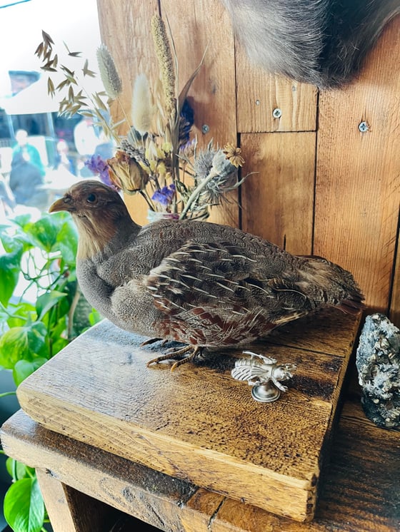 Image of Vintage English Patridge On Natural Wooden Base