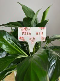 Image 2 of Plant Stakes