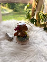 Image 3 of Amethyst Cloche