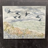 Image 1 of Birds and seaweed 