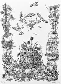 Image 2 of No problemo 30x40cm