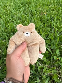 Image 1 of Mini Bear Bloog