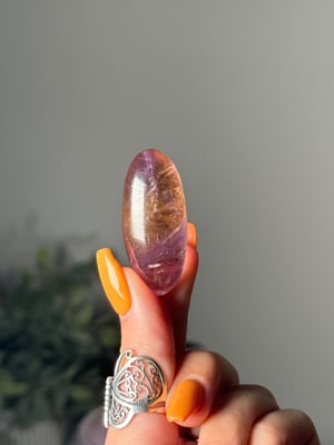 AMETRINE SHIVAS