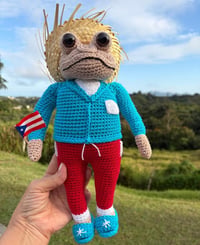 Image 1 of Sapo Concho PR