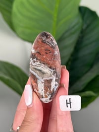 Image 8 of LARGE SANGRIA LACE AGATE SHIVAS