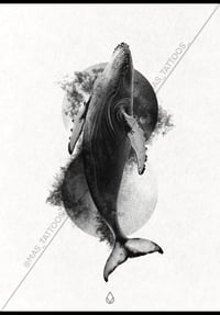 Humpback Whale