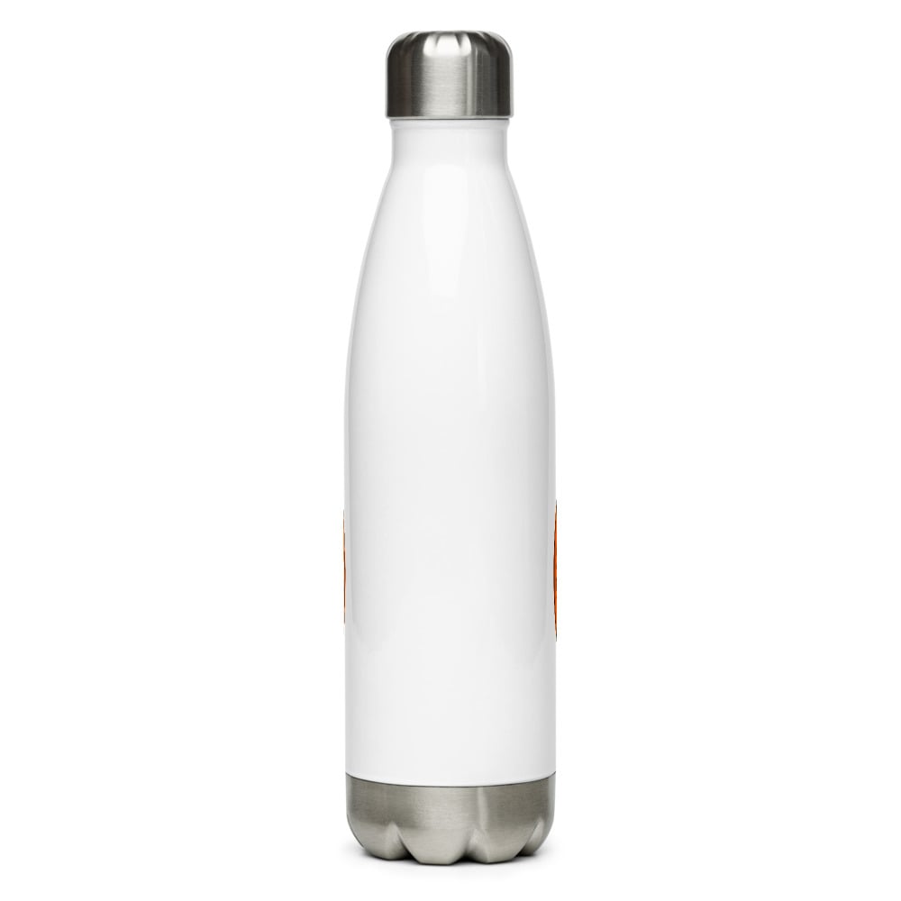 DG Shield Stainless Steel Water Bottle