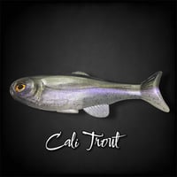 Image 1 of Roma Trout Custom:  Cali Trout