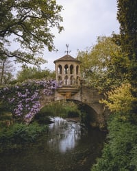 Wisteria Bridge (Dunsborough Park)