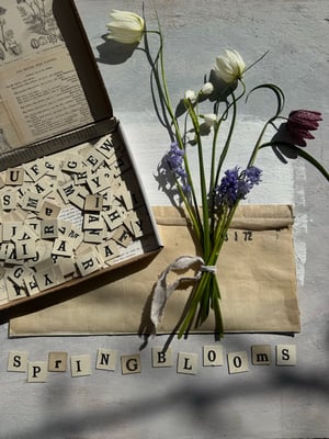 Image of Box of vintage letter tiles