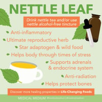 Image 3 of Organic Nettle Leaf Extract 