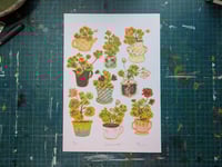Image 4 of Geranium Pots A4 3 or 2 Colour Risograph Print.