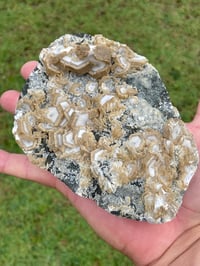 Image 3 of UV Cookie Calcite Specimen #1839