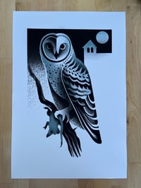 Image 2 of Barn owl 