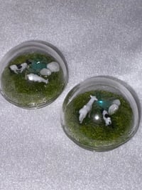 Image 1 of animal farm griptok 