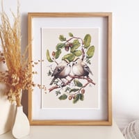 Image 1 of earth birds