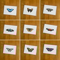 Image 1 of Butterfly Print - Various Designs