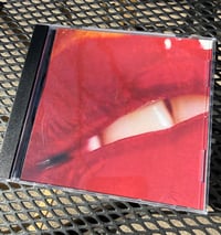 Image 1 of The Sons of Montana “Songs To Seduce Your Future Ex” CD