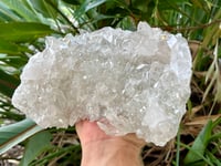 Image 11 of Large Clear Quartz Points Cluster Statement Piece #2596