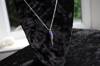 Image 7 of Dead Good Pheasant toe necklace with lapis lazuli stone