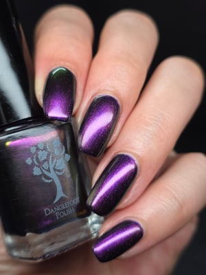 Image of Little box of Horrors