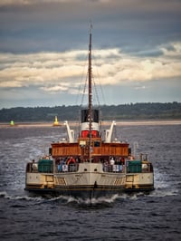 Waverley Bow 
