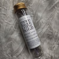 MOON LOTUS PREROLLS PREORDER 